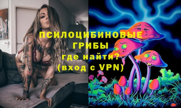 прущая мука Армянск