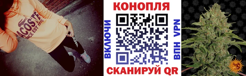 магазин  наркотиков  Озёры  Конопля семена 